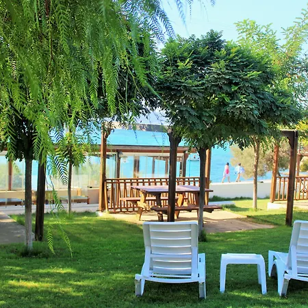 Akkum 塞费里希萨尔